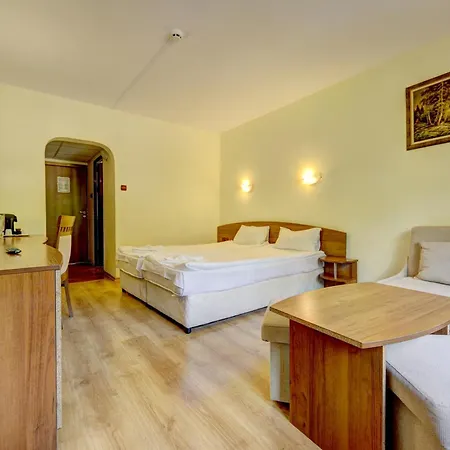 Palace 4* Borovec