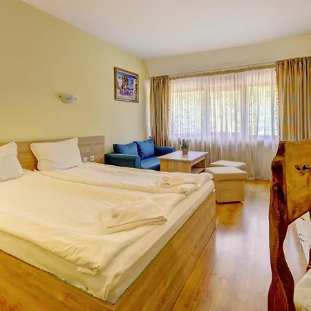 Hotel Palace Borowec