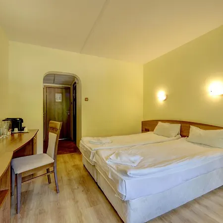 Palace Hotel 4*