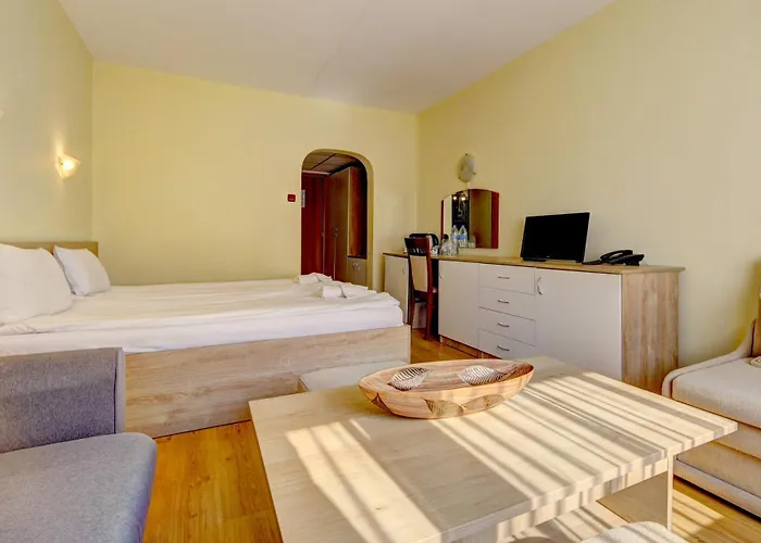 Hotel Palace Borowec